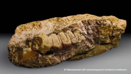 � ������������ ����� ��������� ������ � ����� �������� ����, ��������� � ��������� ���������������� ��������� ���������