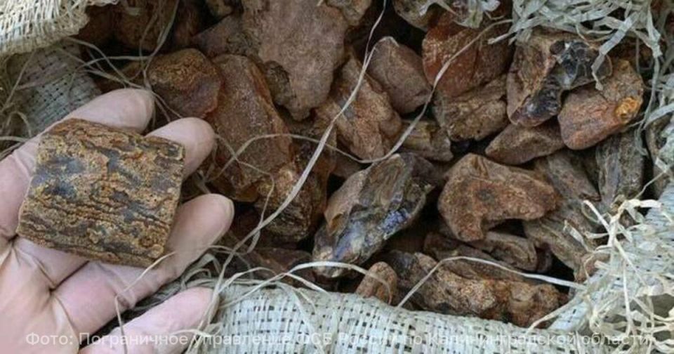 ������� �� ������� ��������: ����� ���������� ����� ���������� � ���������� ������ ������ � ��������������� ������� (�����)