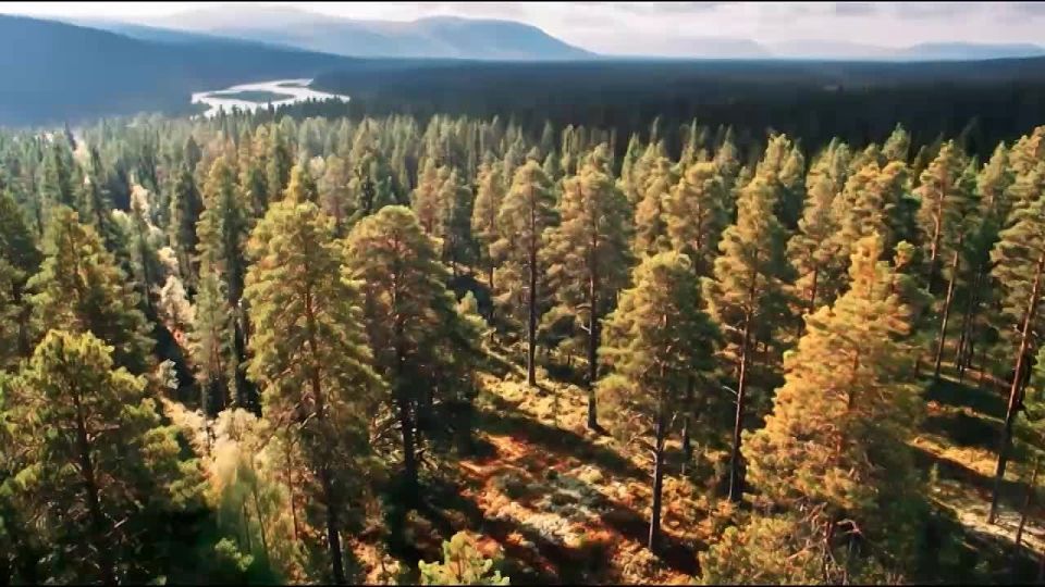 ��� ��� ���� ��. �������, ��� ����� ������� �������� ������ � �������, ������� �������� �������, � ������� ��� �����: �������� ��������