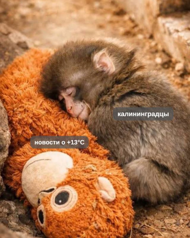 � ��������� ���� ���� � ��������������� ������� ��������� �� +13��