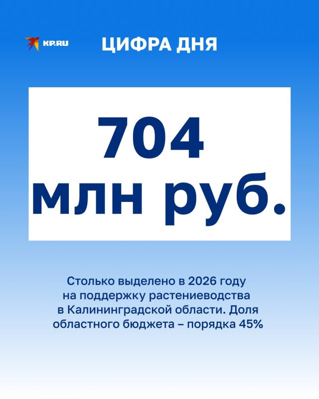 �� ���� � MAX, ��������������, ����� ���� �����