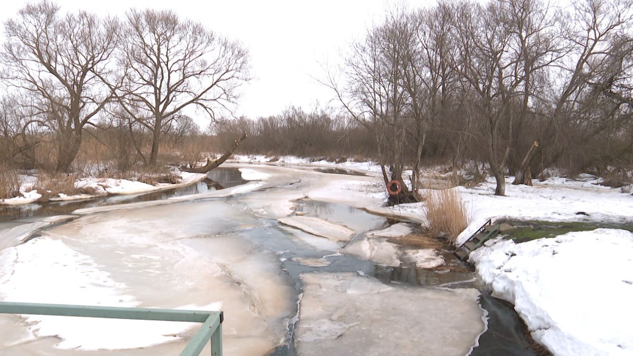 Метеорологическая весна пришла в регион на несколько дней раньше, чем календарная