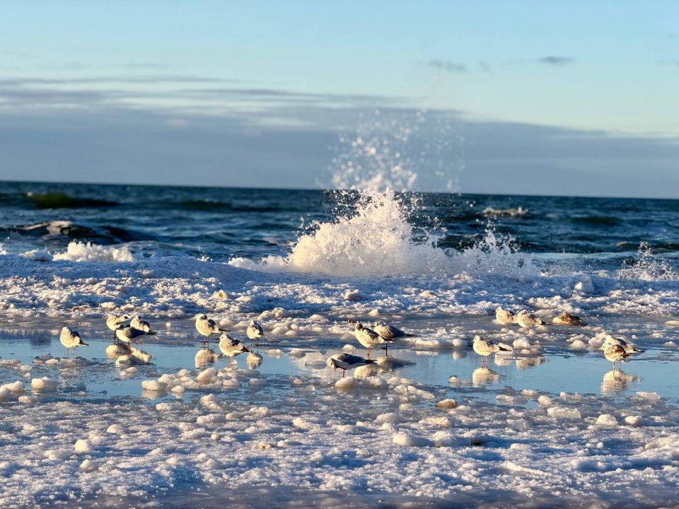 ������� �������� ������ ��������� �� ����� �������������� ���������?