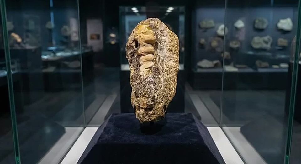 �������� ������� ��� ���� (� �� �����) ������������