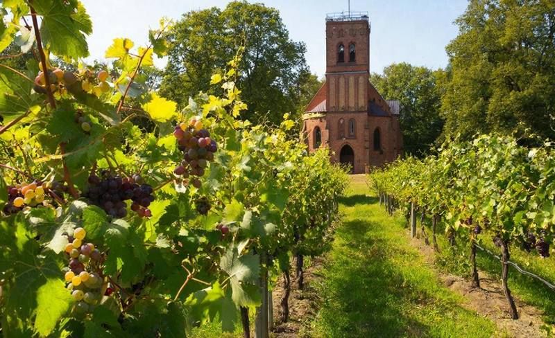 ��������������� ������� � ������ �������� ���������� �� �������