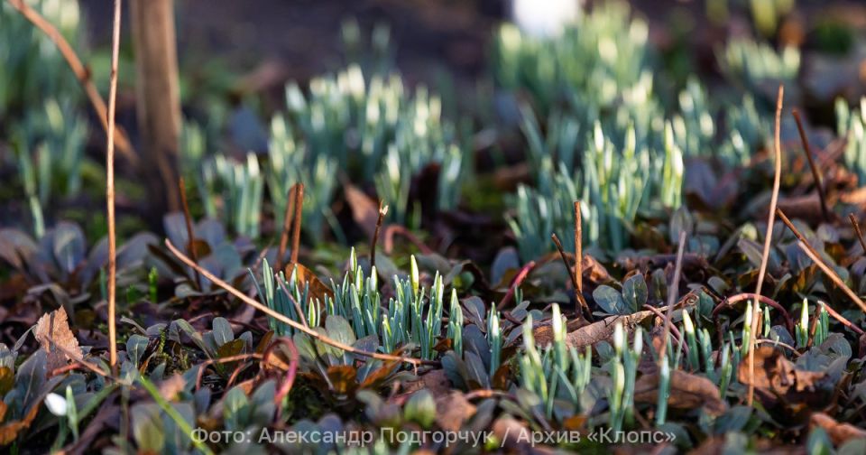 ���� ���������� � ������� �����: ������� ������ �� 28 �������