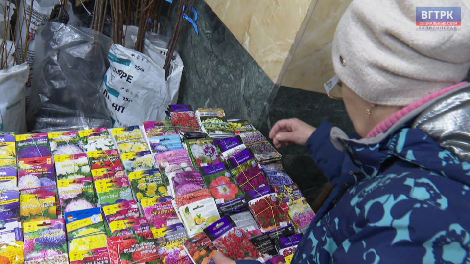 ������ �������� � ����������� ������ � ������ � ������ ��� ����� �������