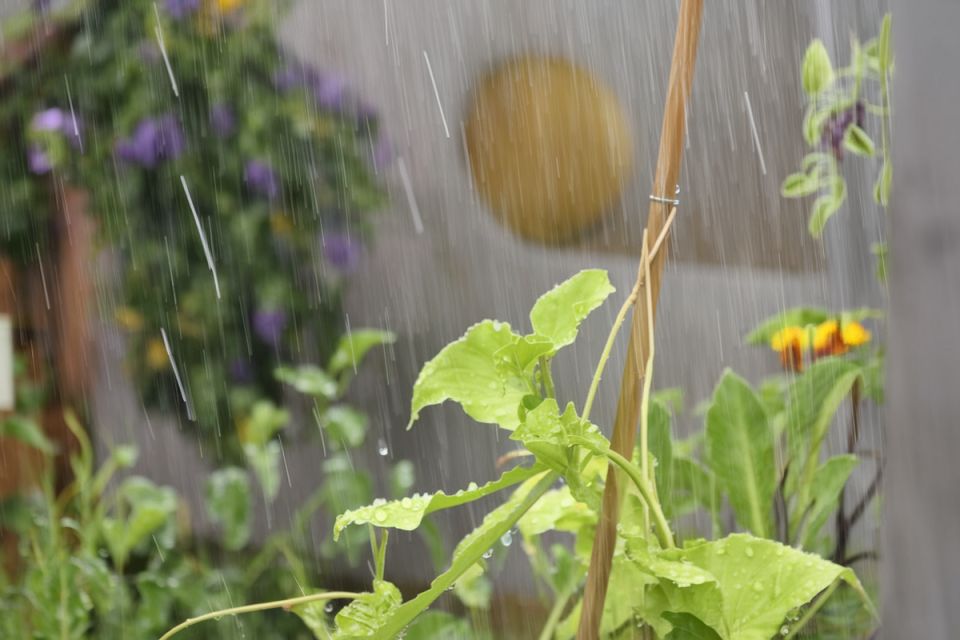 ��� ������ ������: ������ �� ������ � ������ � �������