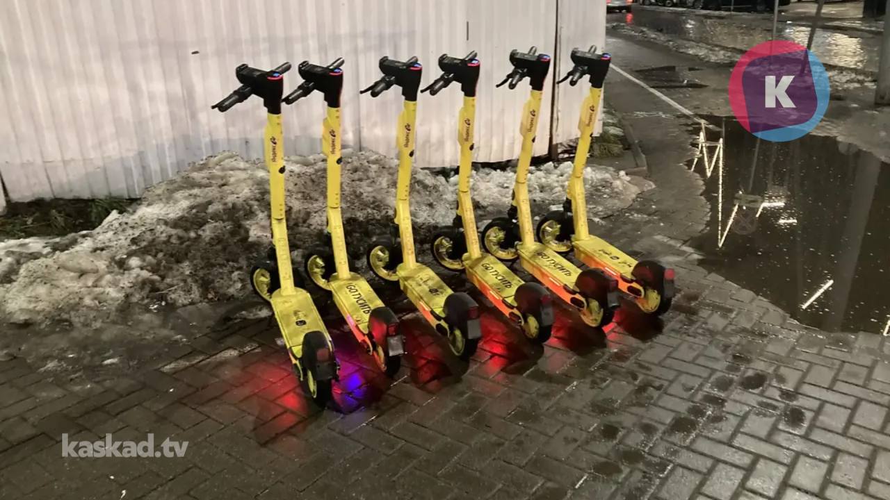 Электросамокаты возвращаются на улицы Калининграда