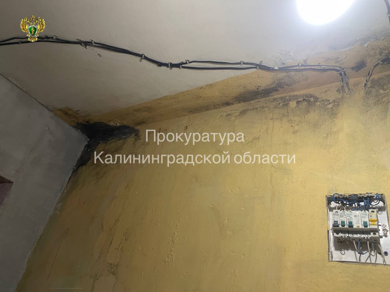 О результатах проверки по публикации в средствах массовой информации о ненадлежащем состоянии крыши многоквартирного дома в пос О результатах проверки по публикации в средствах массовой информации о ненадлежащем состоянии крыши многоквартирного дома в пос