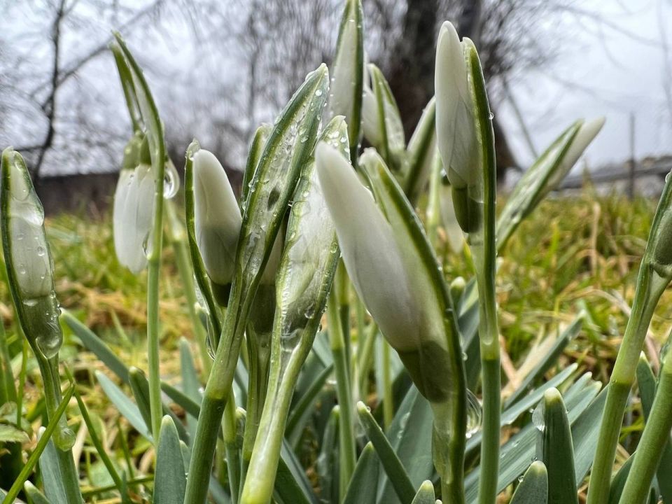 ��, ��� ���� ������ ����! �������� ������ �������� ������� ������� � ������ �� ���������������