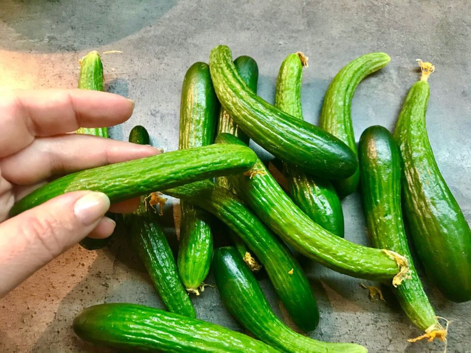 ����-������: ��� ������� ���������� ����� ��� ������ �����