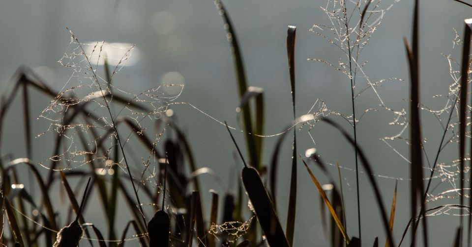 � ��������������� ������� � ��������� ���� ���� ��������� �� +14�C