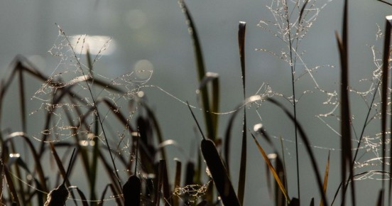 � ��������������� ������� � ��������� ���� ���� ��������� �� +14�C