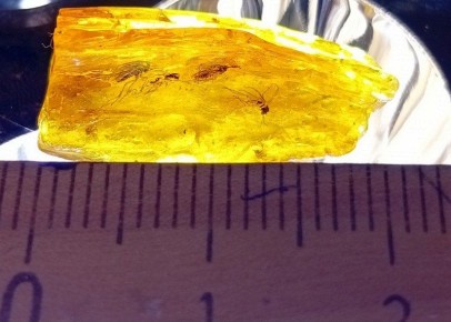 �� ����� ��� ������������� ��������� ����� 5 �������������� �������