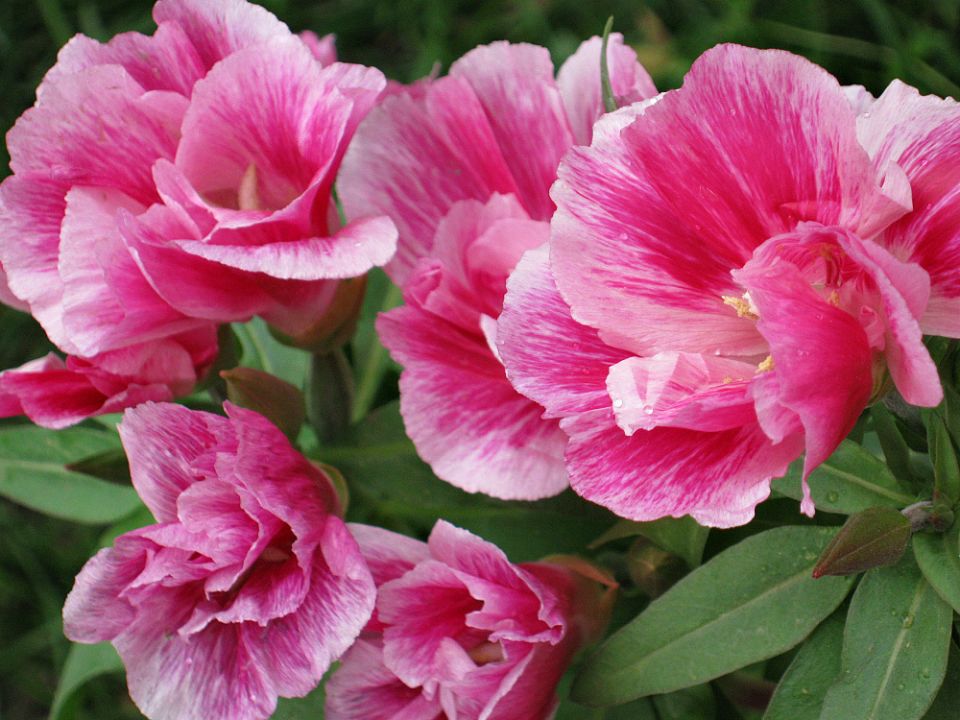 �������: ������� � �������� ��� ������ ����