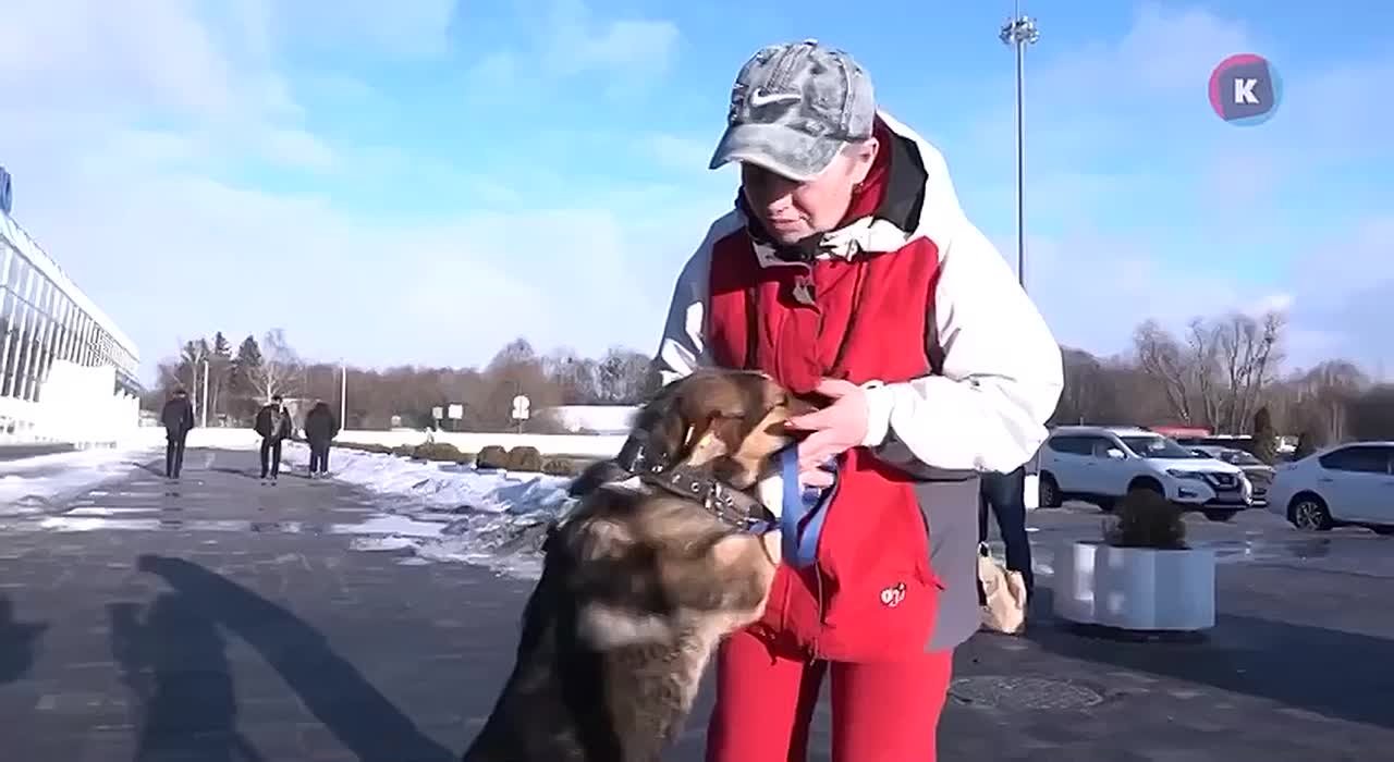 Цвет и размер имеют значение