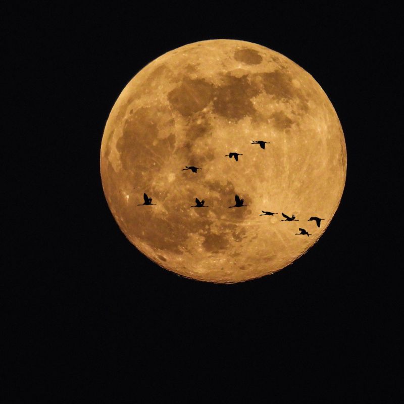 #�����������. ������� ���� ���� ����� ���� ������������ � ���������