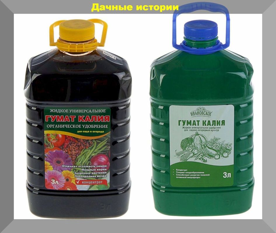 ������ ��� ��������: ��� �������, ����� ��������� � ��� ������