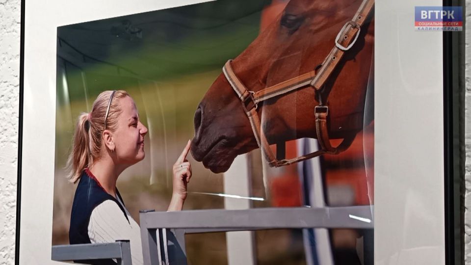 ���� ������ ���. �������� ��������� ������� ��������� � ����������� ����� �������� �������� � ���������� ������� ��������� ����