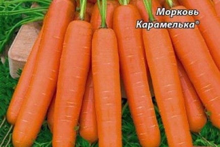 �������� ����������� � �������� ������� ������� ����������