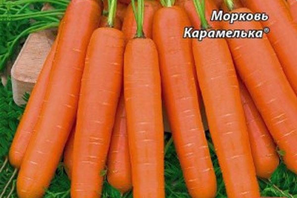 Основные особенности и успешные секреты моркови Карамелька