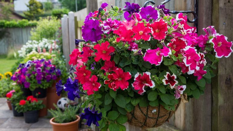 ��� ������� ����������� �������: 4 ����������� ������ ��� ������� �������������