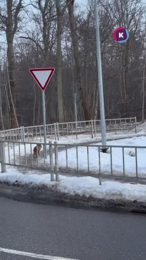 �� ������ ������������� ����� �������� ����� ��������