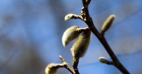 ��������� �� +7, �� �������� �����: ������ � ������������ � ������� �� ������ ���� �����