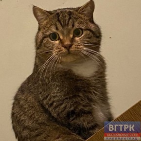 �� ���� ���� �����, ��� ����� �� ������� �����������