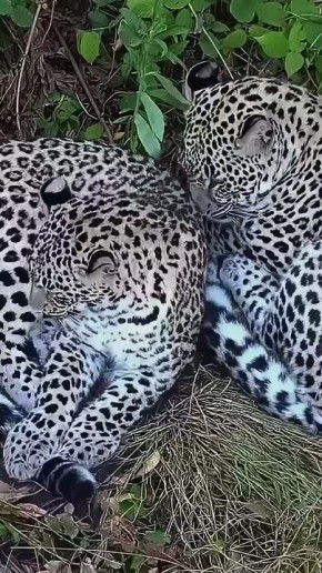 � ���� ����� ����� �������� ��� ����� ����� ������� � ������ ���� ������� �������