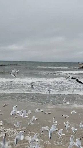 ��, ��� ������� ������� �� ���������! ���������� ���� ����� ��������� ��