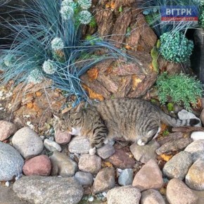 ������� �� ��������� ������� ������������� ������ ��������� ����� �������� ��������������� ����