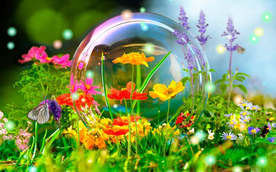 �������� ������ ��� ��������: 11 �������� ��� ��������� ������ ������