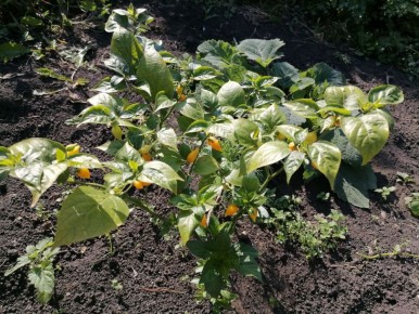 ����� ����������: ��� ������������� ������ ������ ������ � ����������