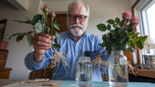 ��� ��������� ����: 5 ����������� ������� � ���� ��������� ����