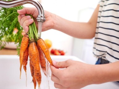 Как морковь растет в бутылках: секреты успешного домашнего овощеводства