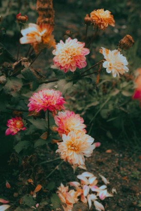 � ������������ ���� ��� ����������� ������, ���������� ������ �����