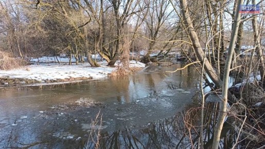 � �������� ���� ����������� ����