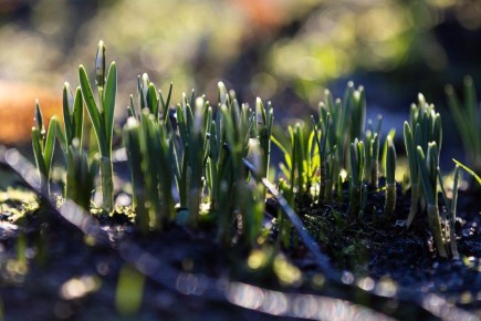 В ближайшие выходные в регионе ожидается сухая, солнечная и по-весеннему тёплая погода