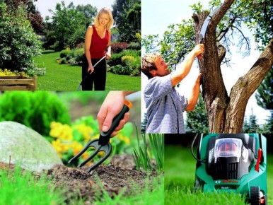 Тренды ухода за садом: современные технологии в действии