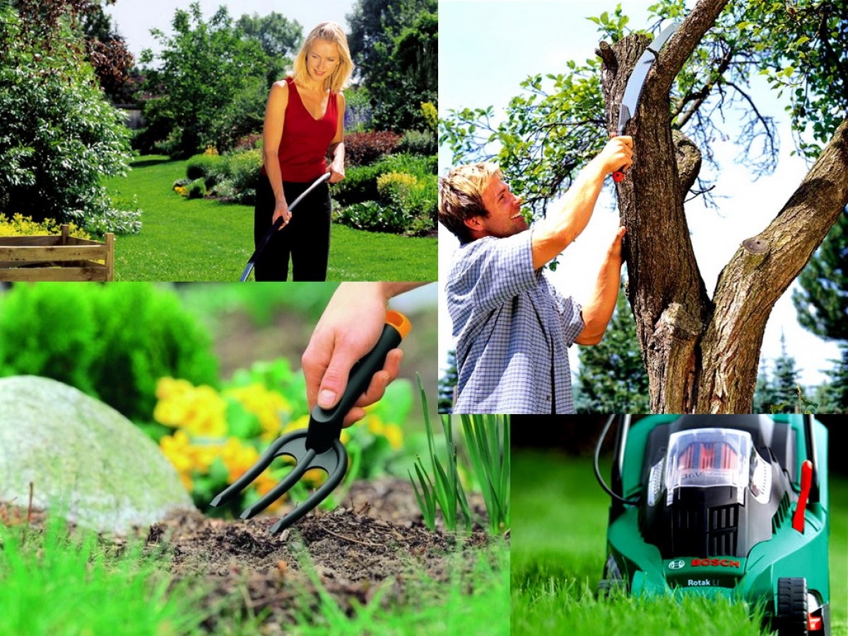 Тренды ухода за садом: современные технологии в действии