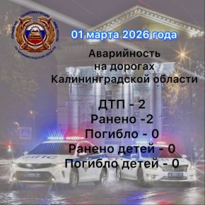 За сутки сотрудниками Госавтоинспекции выявлено 259 нарушений Правил дорожного движения, в том числе: