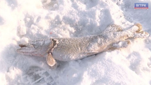 � ��������������� ������� ����� ������ �� ����� ����