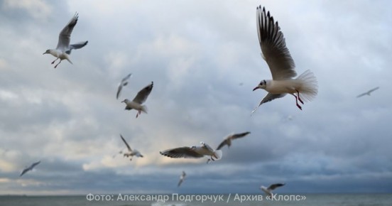 �������������� 2 ����� ��� ������ �������� �����