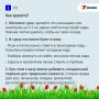 Как выбрать цветы к 8 Марта: полезные совета