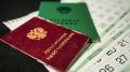 Кто может досрочно выйти на пенсию: важные категории россиян