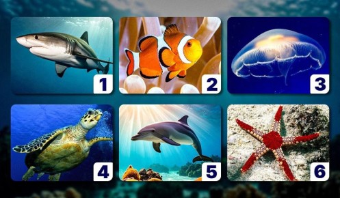 Какое морское животное определяет вашу личность?