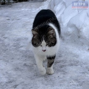 ������ ���� �� �������������!