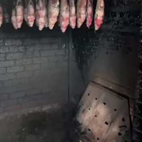 � ��������������� ������� ����������� �������� ���� �� ����� ������������ �������������